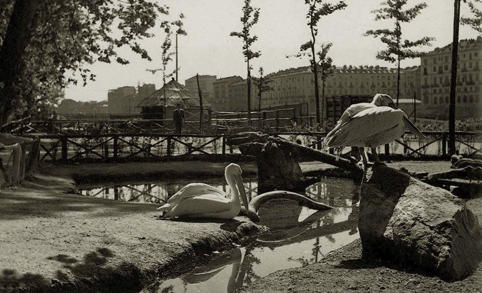 Foto storica