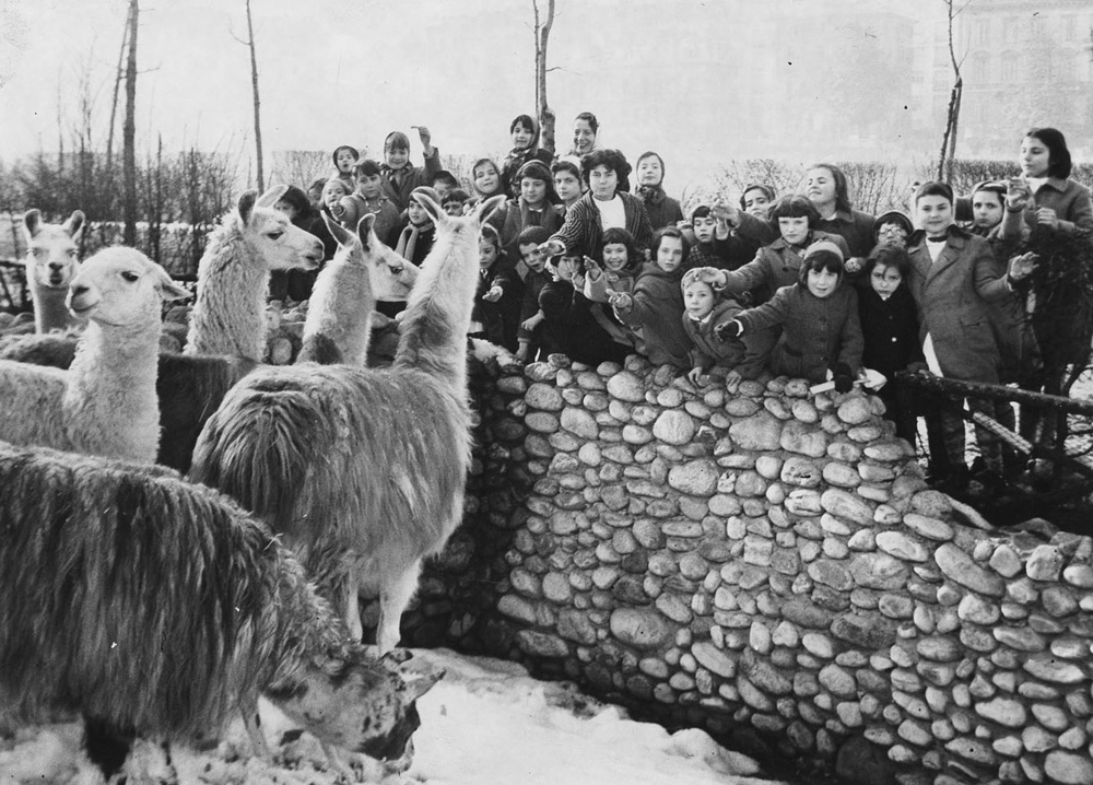 Foto storica