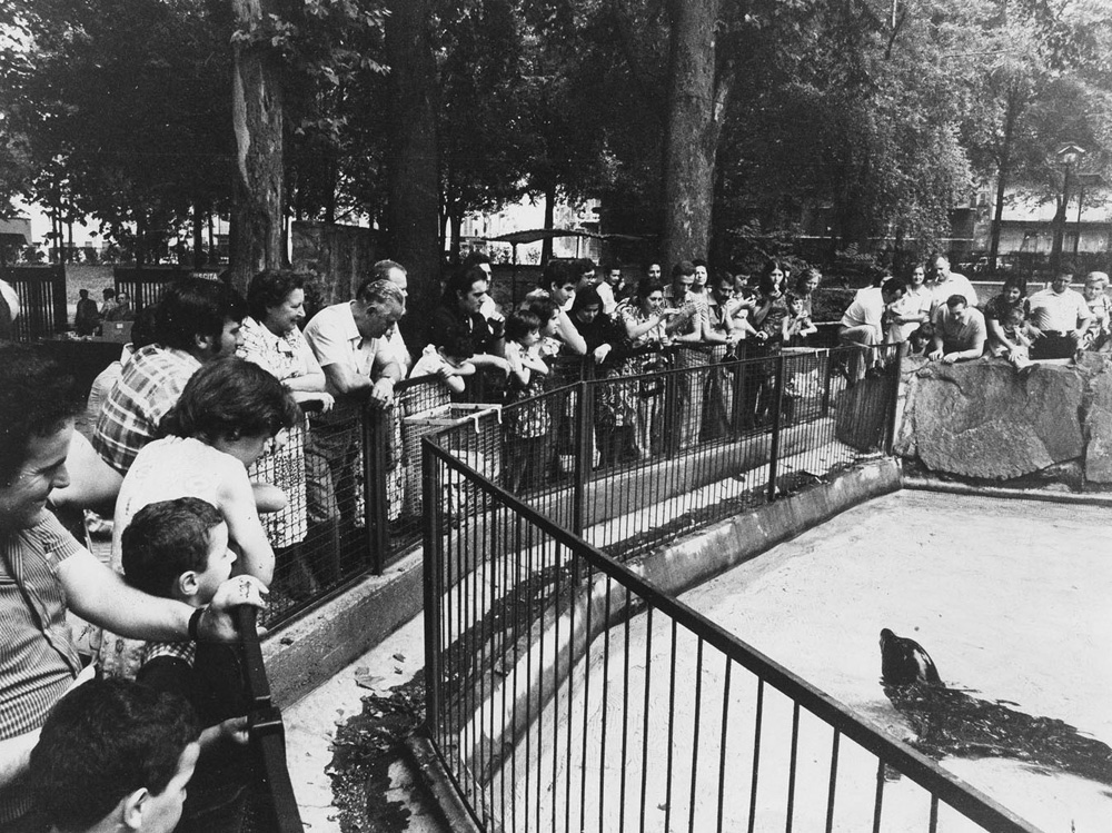 Foto storica