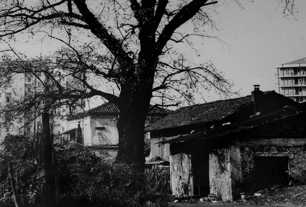 Foto storica