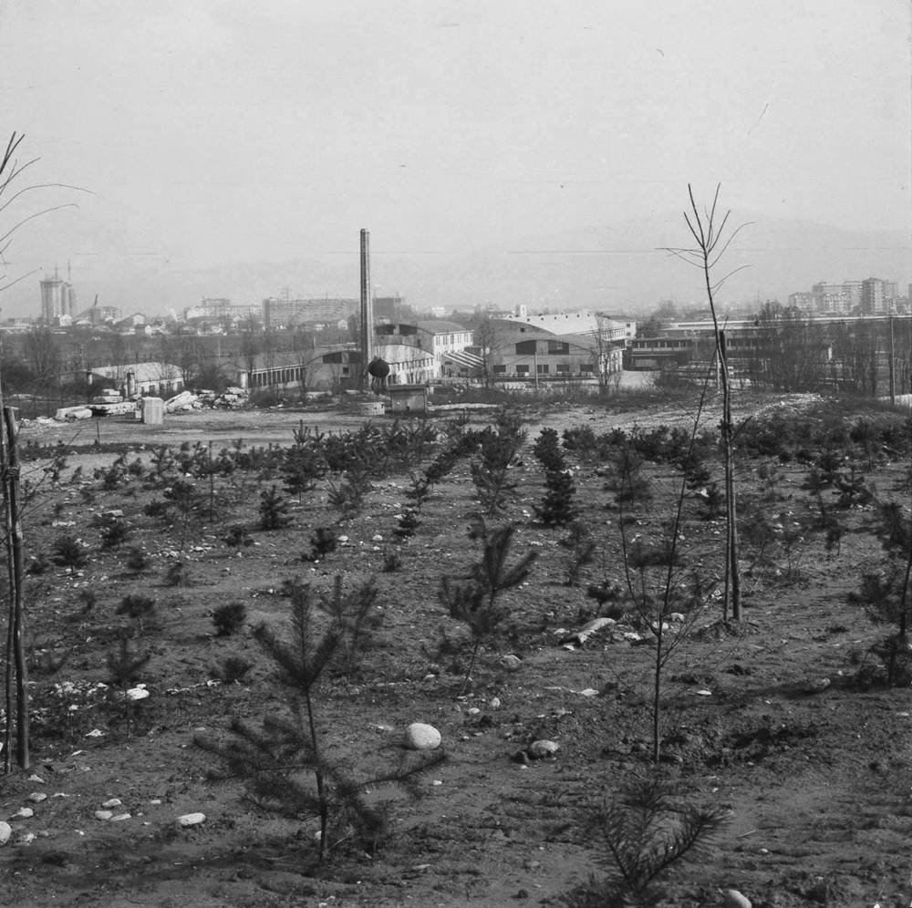 Foto storica