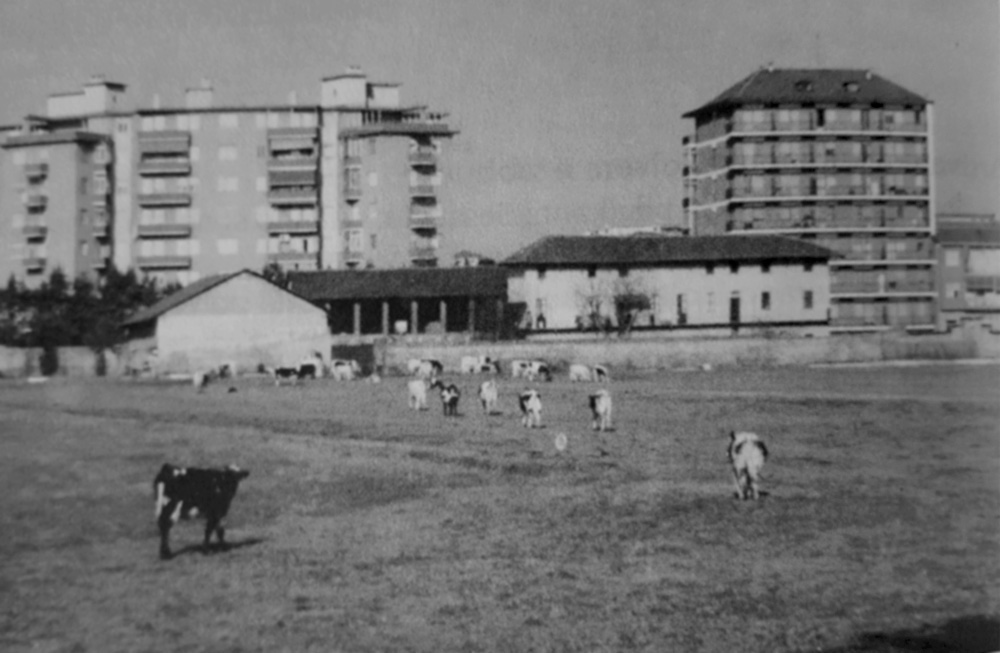 Foto storica