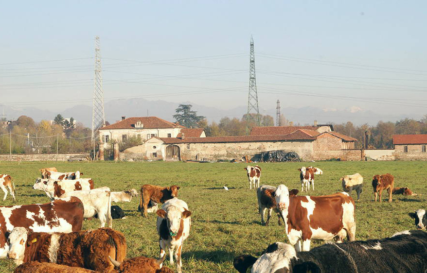 Foto attuale