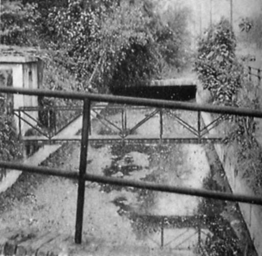 Foto storica