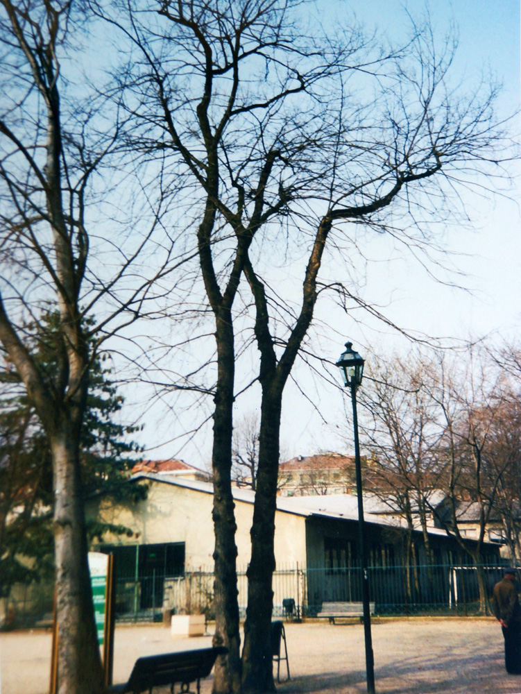 Foto storica
