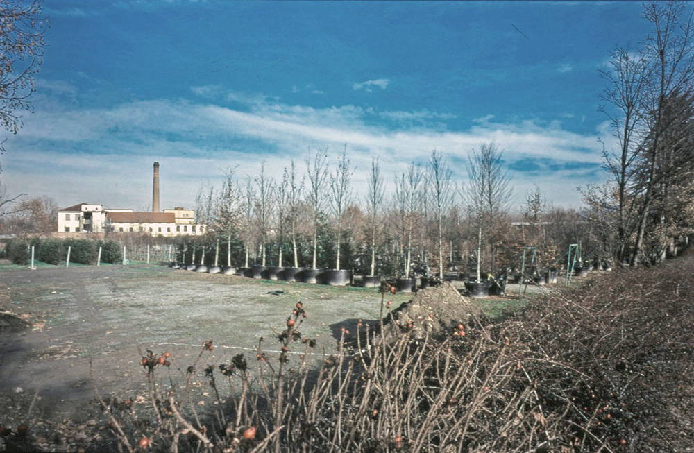 Foto storica