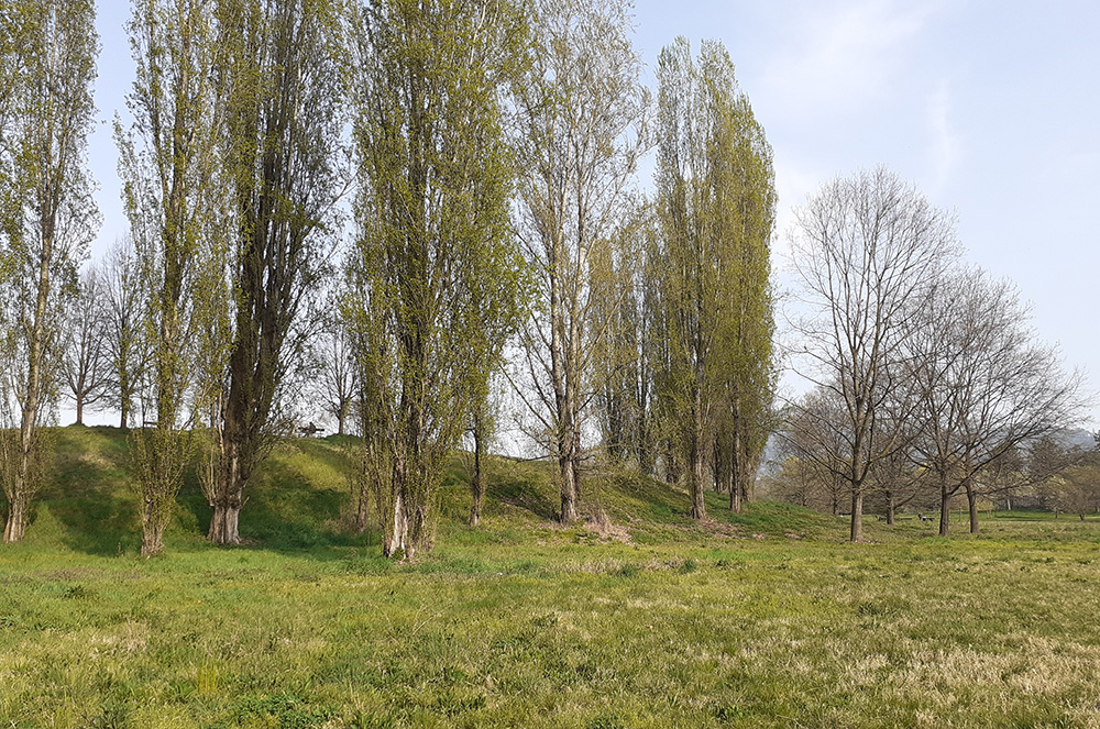 Foto attuale