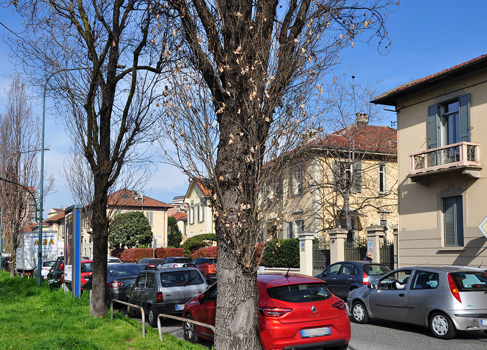 Foto attuale